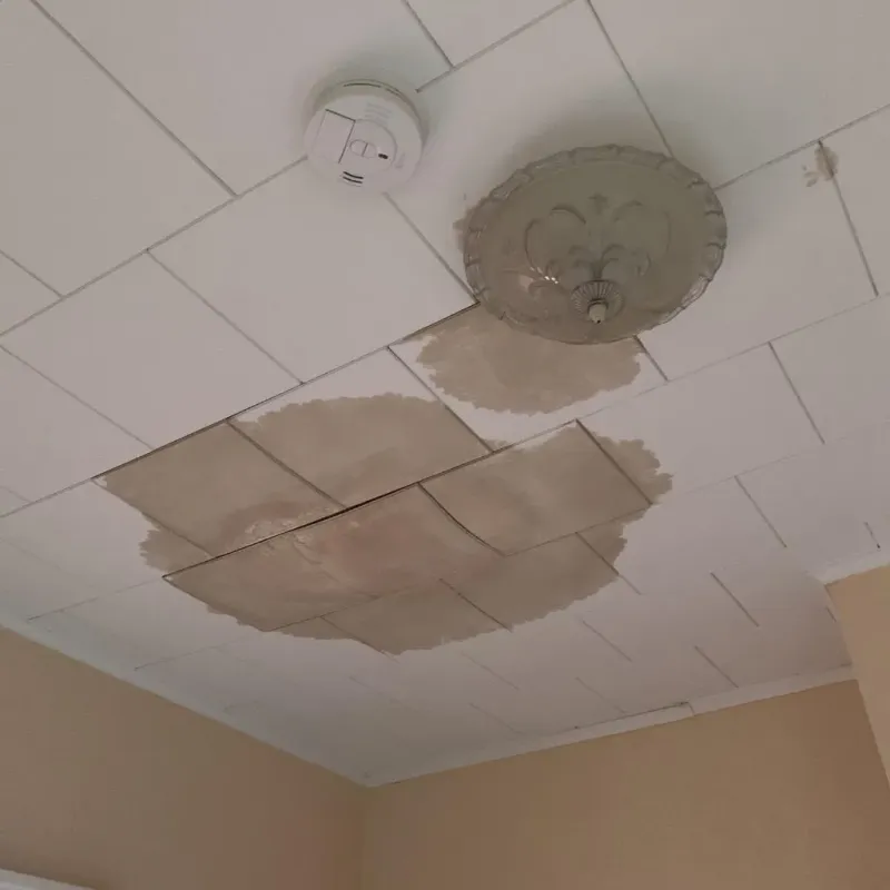 Ceiling Water Damage Repair in Kingsford Heights, IN