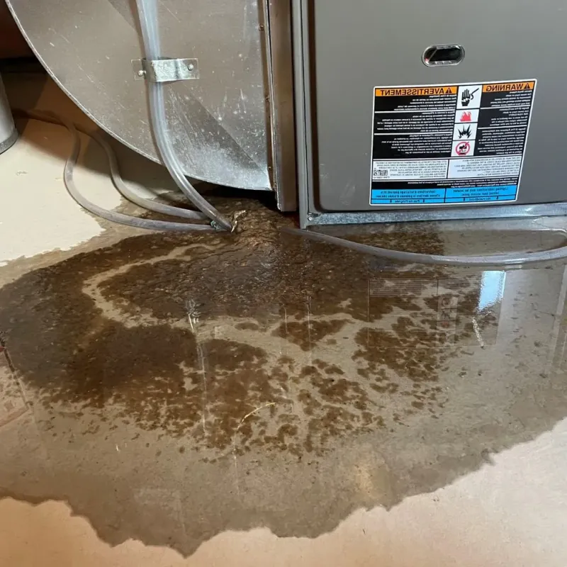 Pipe Burst and Leak Restoration in Kingsford Heights, IN