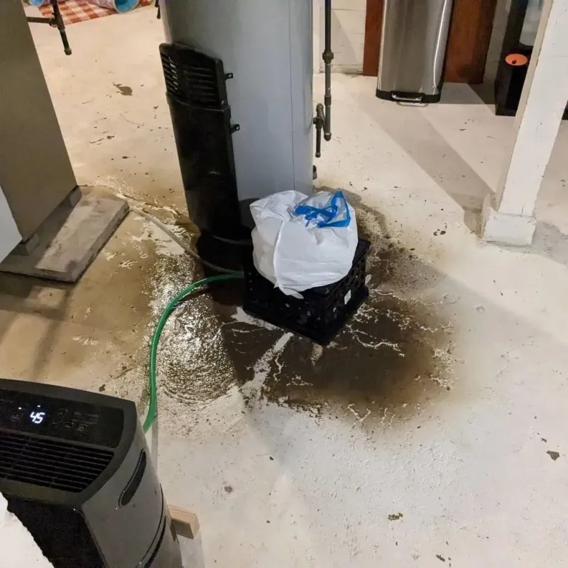 Sewage Backup Cleanup Service in Kingsford Heights, IN